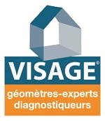 logo visage